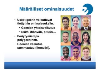 Määrälliset ominaisuudet

•  Useat geenit vaikuttavat
   tiettyihin ominaisuuksiin.
     •  Geenien yhteisvaikutus
     •  Esim. ihonväri, pituus…
•  Periytymistapa
   polygeeninen.
•  Geenien vaikutus
   summautuu (ihonväri).
 