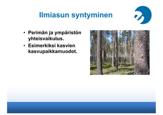 Ilmiasun syntyminen

•  Perimän ja ympäristön
   yhteisvaikutus.
•  Esimerkiksi kasvien
   kasvupaikkamuodot.
 