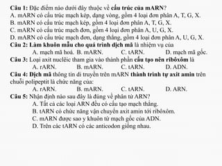 Marn Tarn Rarn Bài 2 phiên mã và dịch mã | PPTX