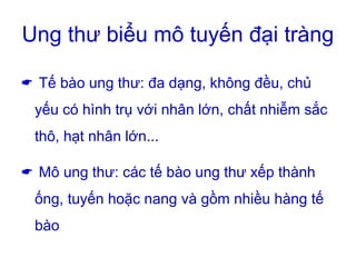 Ung thư biểu mô tuyến đại tràng
 Tế bào ung thư: đa dạng, không đều, chủ
yếu có hình trụ với nhân lớn, chất nhiễm sắc
thô, hạt nhân lớn...
 Mô ung thư: các tế bào ung thư xếp thành
ống, tuyến hoặc nang và gồm nhiều hàng tế
bào
 