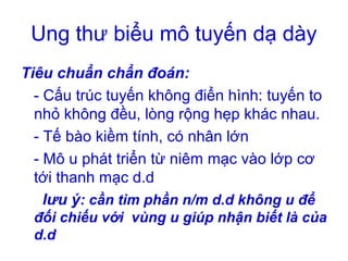 Ung thư biểu mô tuyến dạ dày
Tiêu chuẩn chẩn đoán:
- Cấu trúc tuyến không điển hình: tuyến to
nhỏ không đều, lòng rộng hẹp khác nhau.
- Tế bào kiềm tính, có nhân lớn
- Mô u phát triển từ niêm mạc vào lớp cơ
tới thanh mạc d.d
lưu ý: cần tìm phần n/m d.d không u để
đối chiếu với vùng u giúp nhận biết là của
d.d
 