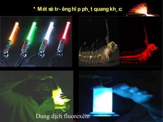 * M ét sè tr- êng hî p ph¸ t quang kh¸ c:

Dung dịch fluorexêin

 