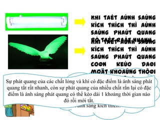 Khi taét aùnh saùng
kích thích thì aùnh
saùng phaùt quang
bò taét raát nhanh.
Khi taét aùnh saùng
kích thích thì aùnh
saùng phaùt quang
coøn
keùo
daøi
moät khoaûng thôøi
Hãy khí gian điểm gian phát
xét về thời là ñoù.
Sự phát quang của các chất lỏng vànhậncó đặc naøo ánh sáng phát
quang của lớp bột chất quang
quang tắt rất nhanh, còn sự phát quang của nhiều phát rắn lại có đặc
trong kéo ống khoảng thời gian
điểm là ánh sáng phát quang có thể đèn dài 1và của con đại nào
bàng bằng
đó rồi mới tắt. đá ép, sau khi đã
tắt ánh sáng kích thích?

 