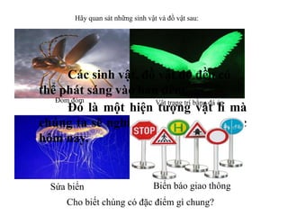 Hãy quan sát những sinh vật và đồ vật sau:

Các sinh vật, đồ vật đó đều có
thể phát sáng vào ban đêm.
Đom đóm
Vật trang trí bằng đá ép
Đó là một hiện tượng vật lí mà
chúng ta sẽ nghiên cứu trong bài học
hôm nay.

Sứa biển

Biển báo giao thông

Cho biết chúng có đặc điểm gì chung?

 