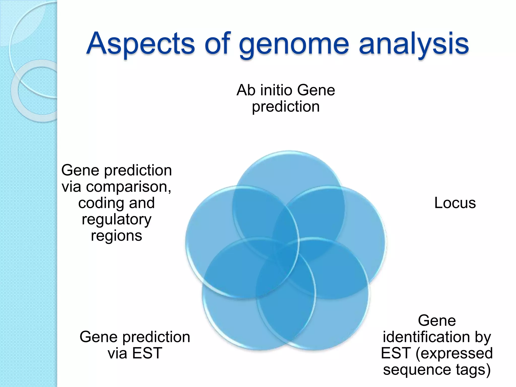 Aspects of genome analysis
Ab initio Gene
prediction
Locus
Gene
identification by
EST (expressed
sequence tags)
Gene prediction
via EST
Gene prediction
via comparison,
coding and
regulatory
regions
 