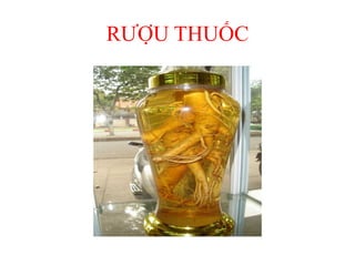 RƯỢU THUỐC
 