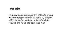 Đặc điểm
• Là quy tắc xử sự mang tính bắt buộc chung
• Chứa đựng các quyền và nghĩa vụ pháp lý
• Do nhà nước ban hành hoặc thừa nhận
• Được nhà nước bảo đảm thực hiện
 