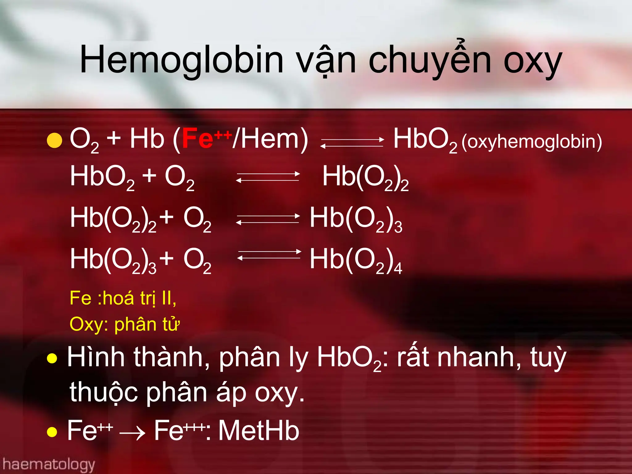 Fe Bài giải sinh lí học, sinh lí máu và thành phần của máu | PPTX
