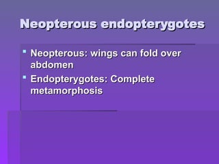 Neopterous endopterygotes
Neopterous endopterygotes
 Neopterous: wings can fold over
Neopterous: wings can fold over
abdomen
abdomen
 Endopterygotes: Complete
Endopterygotes: Complete
metamorphosis
metamorphosis
 