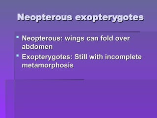 Neopterous exopterygotes
Neopterous exopterygotes
 Neopterous: wings can fold over
Neopterous: wings can fold over
abdomen
abdomen
 Exopterygotes: Still with incomplete
Exopterygotes: Still with incomplete
metamorphosis
metamorphosis
 