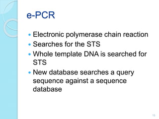 e-PCR
 Electronic polymerase chain reaction
 Searches for the STS
 Whole template DNA is searched for
STS
 New database searches a query
sequence against a sequence
database
15
 