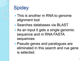 Spidey
 This is another m RNA to genome
alignment tool
 Searches databases via BLAST
 As an input it gets a single genomic
sequence and m RNA FASTA
sequences
 Pseudo genes and paralogues are
eliminated in this search and rue gene
is selected.
16
 