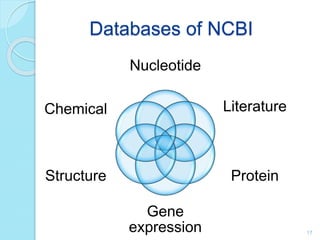 Databases of NCBI
Nucleotide
Literature
Protein
Gene
expression
Structure
Chemical
17
 