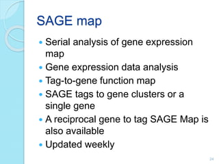 SAGE map
 Serial analysis of gene expression
map
 Gene expression data analysis
 Tag-to-gene function map
 SAGE tags to gene clusters or a
single gene
 A reciprocal gene to tag SAGE Map is
also available
 Updated weekly
24
 