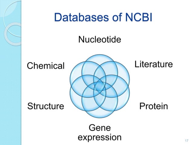 Biological Sequence Databases Biological Sequence Databases