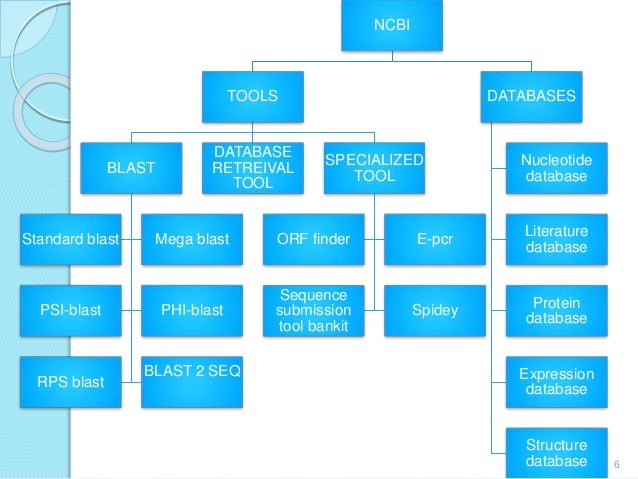 Biological Sequence Databases Biological Sequence Databases