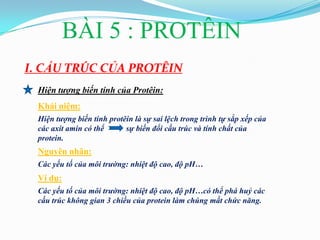 BÀI 5 : PROTÊIN
I. CẤU TRÚC CỦA PROTÊIN
 Hiện tượng biến tính của Protêin:
 Khái niệm:
 Hiện tượng biến tính protêin là sự sai lệch trong trình tự sắp xếp của
 các axit amin có thể      sự biến đổi cấu trúc và tính chất của
 protein.
 Nguyên nhân:
 Các yếu tố của môi trường: nhiệt độ cao, độ pH…
 Ví dụ:
 Các yếu tố của môi trường: nhiệt độ cao, độ pH…có thể phá huỷ các
 cấu trúc không gian 3 chiều của protein làm chúng mất chức năng.
 