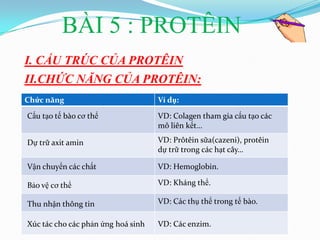 BÀI 5 : PROTÊIN
I. CẤU TRÚC CỦA PROTÊIN
II.CHỨC NĂNG CỦA PROTÊIN:
Chức năng                           Ví dụ:

Cấu tạo tế bào cơ thể               VD: Colagen tham gia cấu tạo các
                                    mô liên kết…

Dự trữ axit amin                    VD: Prôtêin sữa(cazeni), protêin
                                    dự trữ trong các hạt cây…

Vận chuyển các chất                 VD: Hemoglobin.

Bảo vệ cơ thể                       VD: Kháng thể.

Thu nhận thông tin                  VD: Các thụ thể trong tế bào.

Xúc tác cho các phản ứng hoá sinh   VD: Các enzim.
 