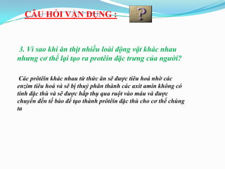 CÂU HỎI VẬN DỤNG :


3. Vì sao khi ăn thịt nhiều loài động vật khác nhau
nhưng cơ thể lại tạo ra protêin đặc trưng của người?

 Các prôtêin khác nhau từ thức ăn sẽ được tiêu hoá nhờ các
enzim tiêu hoá và sẽ bị thuỷ phân thành các axit amin không có
tính đặc thù và sẽ được hấp thụ qua ruột vào máu và được
chuyển đến tế bào để tạo thành prôtêin đặc thù cho cơ thể chúng
ta
 