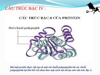 CẤU TRÚC BẬC IV :




  Khi một protêin được cấu tạo từ một vài chuỗi polypeptytide thì các chuỗi
  polypeptytide lại liên kết với nhau theo một cách nào đó tạo nên cấu trúc bậc 4.
 
