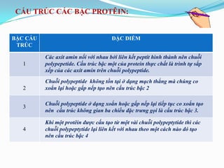 CẤU TRÚC CÁC BẬC PROTÊIN:


BẬC CẤU                               ĐẶC ĐIỂM
 TRÚC

          Các axit amin nối với nhau bởi liên kết peptit hình thành nên chuỗi
   1      polypepetide. Cấu trúc bậc một của protein thực chất là trình tự sắp
          xếp của các axit amin trên chuỗi polypeptide.
          Chuỗi polypeptide không tồn tại ở dạng mạch thẳng mà chúng co
   2      xoắn lại hoặc gấp nếp tạo nên cấu trúc bậc 2

          Chuỗi polypeptide ở dạng xoắn hoặc gấp nếp lại tiếp tục co xoắn tạo
   3
          nên cấu trúc không gian ba chiều đặc trưng gọi là cấu trúc bậc 3.

          Khi một protêin được cấu tạo từ một vài chuỗi polypeptytide thì các
   4      chuỗi polypeptytide lại liên kết với nhau theo một cách nào đó tạo
          nên cấu trúc bậc 4
 
