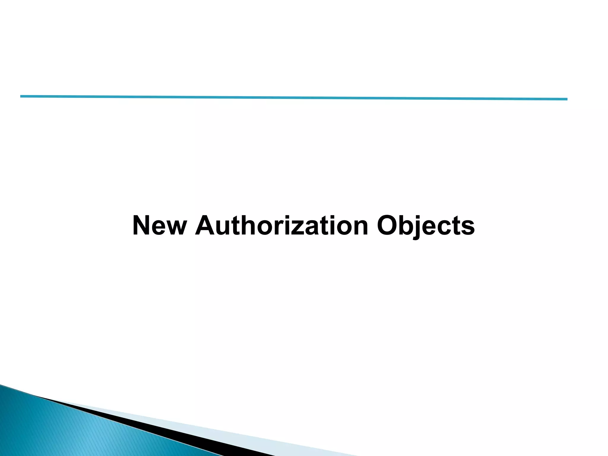 New Authorization Objects
 