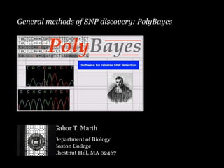 General methods of SNP discovery: PolyBayes Gabor T. Marth Department of Biology Boston College Chestnut Hill, MA 02467 