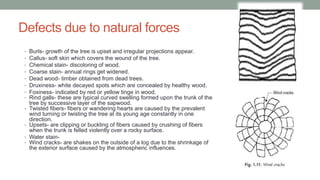 Defects due to natural forces
• Burls- growth of the tree is upset and irregular projections appear.
• Callus- soft skin which covers the wound of the tree.
• Chemical stain- discoloring of wood.
• Coarse stain- annual rings get widened.
• Dead wood- timber obtained from dead trees.
• Druxiness- white decayed spots which are concealed by healthy wood.
• Foxiness- indicated by red or yellow tinge in wood.
• Rind galls- these are typical curved swelling formed upon the trunk of the
tree by successive layer of the sapwood.
• Twisted fibers- fibers or wandering hearts are caused by the prevalent
wind turning or twisting the tree at its young age constantly in one
direction.
• Upsets- are clipping or buckling of fibers caused by crushing of fibers
when the trunk is felled violently over a rocky surface.
• Water stain-
• Wind cracks- are shakes on the outside of a log due to the shrinkage of
the exterior surface caused by the atmospheric influences.
 