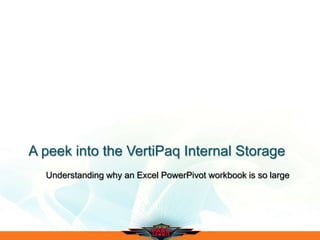 A peek into the VertiPaq Internal Storage
Understanding why an Excel PowerPivot workbook is so large
 