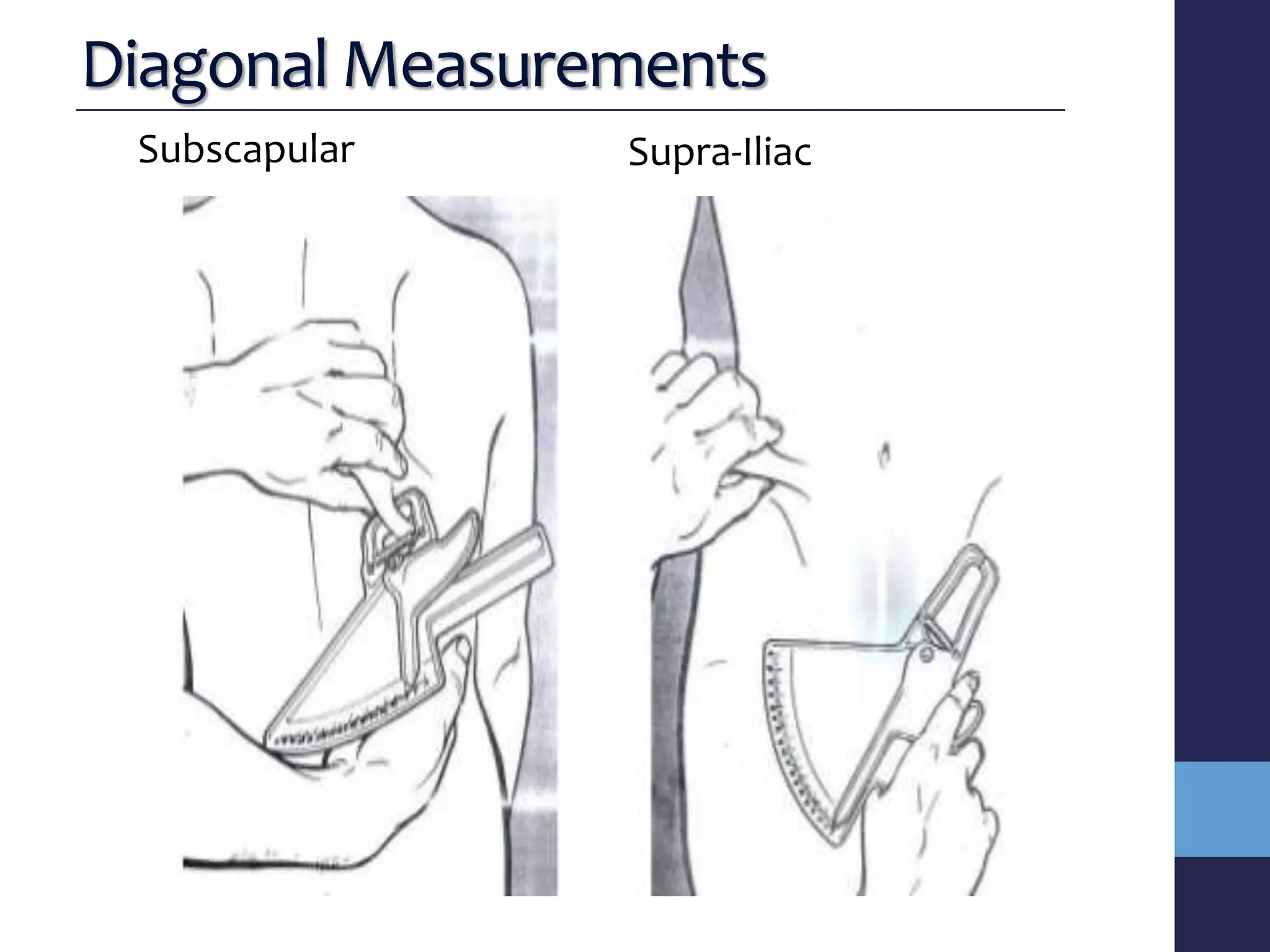 Body Fat Measurement: Is Your Abdominal Skinfold Location Right? - jifdcpo