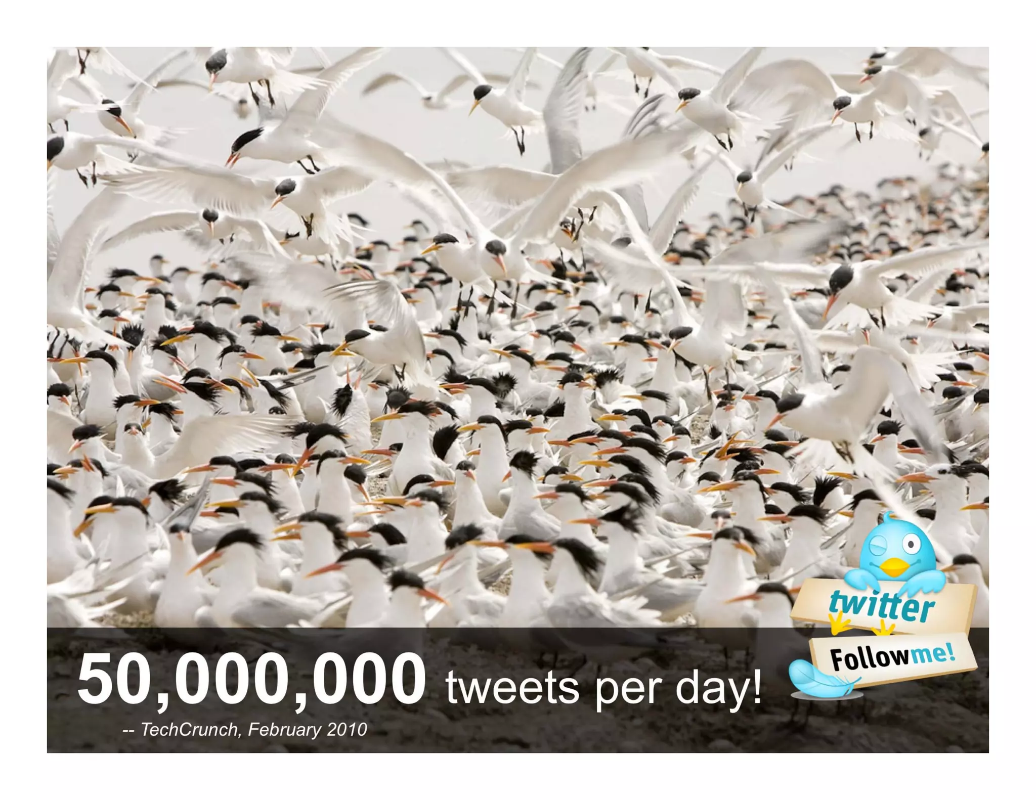 50,000,000 tweets per day!
 ANTHOLOGYMARKETING.COM
   -- TechCrunch, February 2010
 