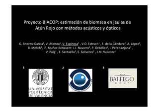 Proyecto BIACOP: estimación de biomasa en jaulas de 
Atún Rojo con métodos acústicos y ópticos
G. Andreu‐Garcia1, V. Atienza1, V. Espinosa1 , V.D. Estruch1 , F. de la Gándara2, A. López3, 
B. Mèlich3,  P. Muñoz‐Benavent J.J. Navarro3, P. Ordóñez1, I. Pérez‐Arjona1 ,
V. Puig1 , E. Santaella2, E. Soliveres1 , J.M. Valiente1
1 2 3
 