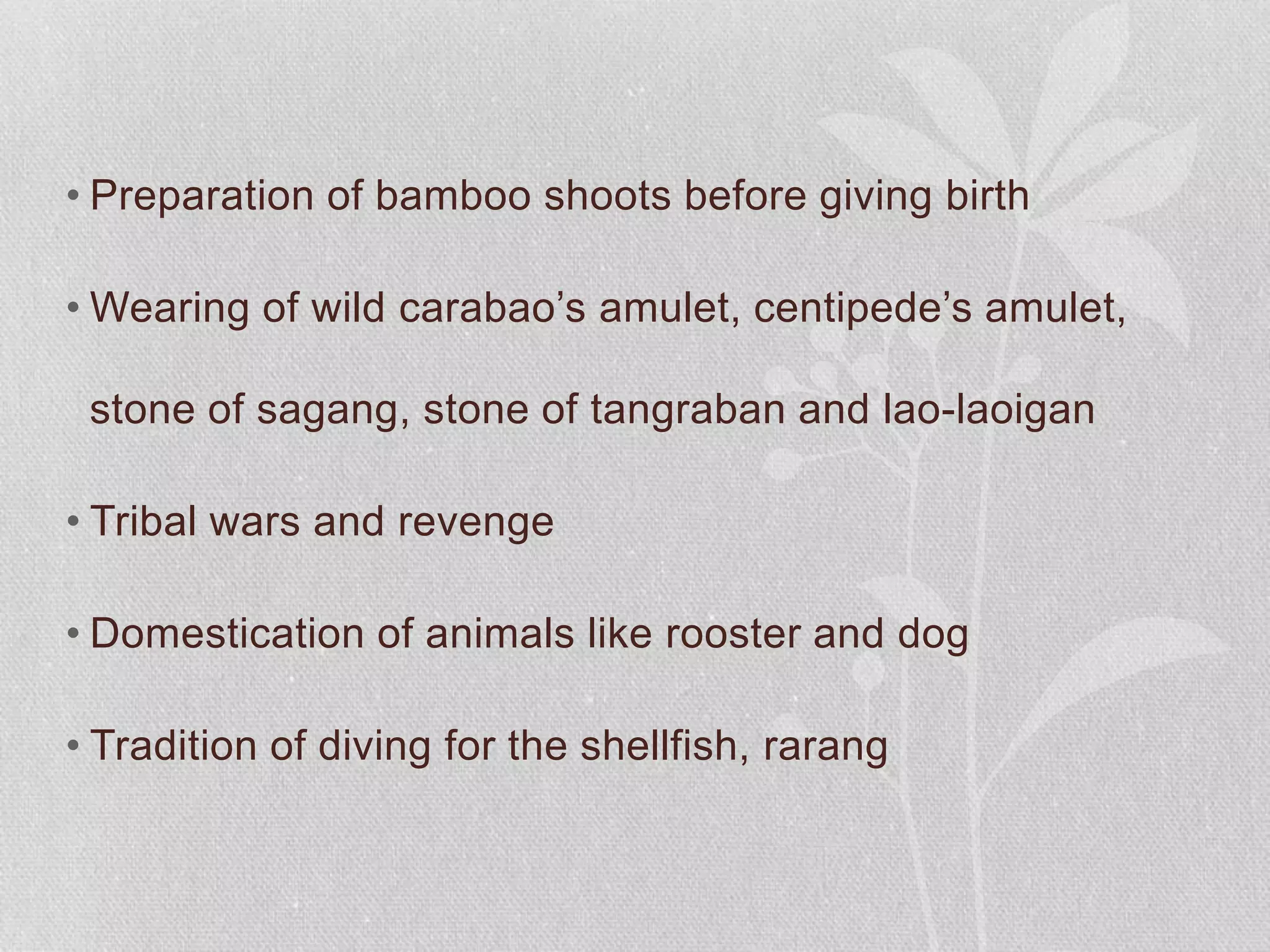 • Preparation of bamboo shoots before giving birth
• Wearing of wild carabao’s amulet, centipede’s amulet,
stone of sagang, stone of tangraban and lao-laoigan
• Tribal wars and revenge
• Domestication of animals like rooster and dog
• Tradition of diving for the shellfish, rarang
 