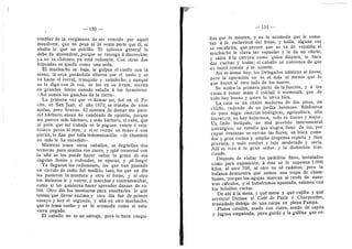 150
temblor de la vergtienza de ser vencido por aquel
mozalvete, que no pesa ni la sexta parte que dl, ni
abulta lo que un potrillo. El aplauso general lo
debe de atolondrar, porque se entrega d discrecidn;
ya no es chdcaro, ya estd redomdn. Con otras dos
felpeadas se queda como una seda.
El muchacho se baja, le golpea el cuello con la
mano, la seca pasdndola abierta por el suelo y se
va hacia el corral, tranquilo y satisfecho; y aunque
no lo diga con la voz, se lee en su frente, escrito
en grandes letras cuando saluda a los forasteros:
«Asf somos los gauchos de la tierra».
La primera vez que vi domar asf, fud en el Po-
cito, en San Juan, el aflo 1873; se trataba de unas
mulas, pero bravas. El sistema de domar me pare-
cid barbaro; ahora he cambiado de opinidn, porque
me parece mds bdrbaro, y mds bdrbaro, si cabe, que
al pedn que asf trabaja se le paguen veinte d vein-
ticinco pesos al mes, 3' si se rompe un brazo d una
pierna, le dan por toda indemnizacidn: «de chambdn
no mds le ha sucedido».
Mientras traen otros caballos, se degiiellan dos
terneras para asarlas con cuero, y jqud terneras! con
la ufla se les puede hacer saltar la grasa de sus
cogotes llenos y redondos, se operan, y jal fuego!
Ya llegaron los redomones, los que han paseado
en clrculo de radio del tendido lazo, los que un dfa
les pusieron la montura y otro el freno, 3' al otro
los hicieron ir y volver, y marchar y contramarchar,
como si les quisieran hacer aprender danzas de sa-
ldn. Otro dfa los montaron para enseflarles lo que
tenfan que llevar encima y otro dfa fud de primer
ensayo y hoy el segundo, y alia va otro muchacho,
que lo toma suelto y se le acomoda como si estu-
viera pegado.
El caballo no es un salvaje, pero le hace cosqui-
tm'
— 151 —
lias que lo monten, y no le acomoda que le some-
tan d la esclavitud del freno, y baila; alguna vez
se encabrita, que parece que se va de espalda; el
muchacho le clava las espuelas y le da un chirlo,
y salen d la carrera como quien dispara, le hace
dar vueltas y trotar; el cabaUo' se convence de que
es iniitU resistir y se somete.
Asi se doma hoy; los Delegados admiran al jinete;
pero la operacidn no es ni mds ni menos que lo
que hacen al otro lado de los mares.
Se acaba la primera parte de la funcidn, y a las
casas d tomar mate d coktail d vermouth, que de
todo hay bueno y quien lo sirva bien.
La casa es un chalet moderno de dos pisos, un
chiche, rodeado de un jardin hermoso. Biblioteca
de pura miga: ciencias bioldgicas, agricultura, alta
literatura; no hay hojarasca, todo es bueno y mejor.
Un lindo botiquin, no mal provisto instrumental
quiriirgico; un estudio que alegra, lleno de luz, por
cuyas ventanas se entran las flores; un buen come-
dor y gran cocina y amplia despensa repleta y bien
provista; y todo confort y lujo moderado y serio.
Alli se vive d lo gran seflor, y la distincidn tras-
ciende.
Despuds de visitar los padrillos fines, instalados
como para exposicion, a dste se le suponen 1.000
kilos, al otro 700, al otro no se cudntos; pero la
balanza demuestra que somos una tropa de cham-
bones, porque las agujas marcan al revds de nues-
tros cdlculos, y si hubidramos apostado, sahmos con
los bolsillos vacios.
De ahf d la mesa, y qud mesa y qud vajilla y qud
servicio! Dirfase el Cafd de Parfs d Charpentier,
trasladado debajo de una carpa en plena Pampa.
Platos criollos, asado con cuero, asado de capdn
y jugosa empanada, pavo gordo y la gallina que re-
 