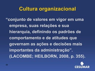 Cultura organizacional “ conjunto de valores em vigor em uma empresa, suas relações e sua hierarquia, definindo os padrões de comportamento e de atitudes que governam as ações e decisões mais importantes da administração”. (LACOMBE; HEILBORN, 2008, p. 355). 