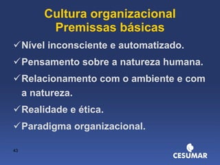 Cultura organizacional Premissas básicas Nível inconsciente e automatizado. Pensamento sobre a natureza humana. Relacionamento com o ambiente e com a natureza. Realidade e ética. Paradigma organizacional. 