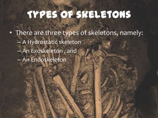 Types of skeletons
• There are three types of skeletons, namely:
  – A Hydrostatic skeleton
  – An Exoskeleton , and
  – An Endoskeleton
 