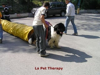 La Pet Therapy 