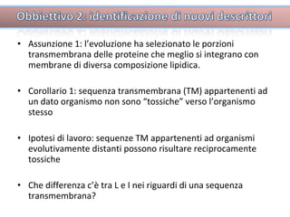 Assunzione 1: l’evoluzione ha selezionato le porzioni transmembrana delle proteine che meglio si integrano con membrane di diversa composizione lipidica.  Corollario 1: sequenza transmembrana (TM) appartenenti ad un dato organismo non sono “tossiche” verso l’organismo stesso Ipotesi di lavoro: sequenze TM appartenenti ad organismi evolutivamente distanti possono risultare reciprocamente tossiche Che differenza c’è tra L e I nei riguardi di una sequenza transmembrana? 