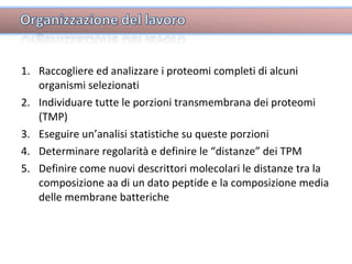 Raccogliere ed analizzare i proteomi completi di alcuni organismi selezionati Individuare tutte le porzioni transmembrana dei proteomi (TMP) Eseguire un’analisi statistiche su queste porzioni Determinare regolarità e definire le “distanze” dei TPM Definire come nuovi descrittori molecolari le distanze tra la composizione aa di un dato peptide e la composizione media delle membrane batteriche 