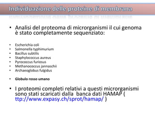 Analisi del proteoma di microrganismi il cui genoma è stato completamente sequenziato:  Escherichia coli Salmonella typhimurium  Bacillus subtilis  Staphylococcus aureus  Pyrococcus furiosus Methanococcus jannaschii Archaeoglobus fulgidus Globulo rosso umano I proteomi completi relativi a questi microrganismi sono stati scaricati dalla  banca dati HAMAP ( ttp://www.expasy.ch/sprot/hamap/  ) 