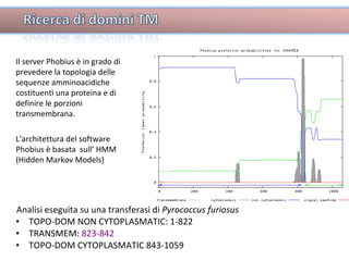 Analisi eseguita su una transferasi di  Pyrococcus furiosus   TOPO-DOM NON CYTOPLASMATIC: 1-822 TRANSMEM:  823-842 TOPO-DOM CYTOPLASMATIC 843-1059 Il server Phobius è in grado di prevedere la topologia delle sequenze amminoacidiche  costituenti una proteina e di  definire le porzioni transmembrana.  L’architettura del software Phobius è basata  sull’ HMM (Hidden Markov Models)  