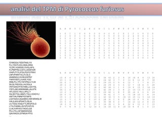 GYMGGILFSDIITNSLYA FLLYSCFLSVLISIALSRIA  YLDFLVGAISSLVVIGLAFIL  FLPNPFNLILSIYLLKSSFAIR VIAPLFYYLIFGLPGVVYRAV LNFVPARITVLLFLSLG IAAMSAVLGVWLEKPNY YWIIVVEFLLIVAIILYGG WMLPLLTPLTAFIPSLILYLNI SILSLYWVIGLLHLDGLA VNTGIAGTFAVVMILLIQVYSL YSIYLAELNSKMAMLLALATK VFLGGVLYALLLIPILLY IGLWVTGLLMAFLTGLLVGIGYLI IIAFTIALFMNFFSYWFS LIQTIAAVLAGAIMVLVNFARWSLW VALILAIILAPIAATLIQLAI LILTGGLVGQLFTLAKGFDLG LTVLFIAIMLLSVVPVHFVS LLALIVAFAVLTAGCLGS PILLITILLGFAMAWAIGA QAVIIAGVLEFMGAYFFG … A  R  N  D  C  Q  E  G  H  I  L  K  M  F  P  S  T  W  Y  V 1  0  1  1  0  0  0  3  0  3  2  0  1  0  1  2  1  0  2  0 2  1  0  0  1  0  0  0  0  3  5  0  0  0  2  4  0  0  1  1 2  0  0  1  0  0  0  2  0  3  5  0  0  0  2  2  0  0  1  3 1  1  2  0  0  0  0  0  0  3  5  1  0  2  3  3  0  0  1  0 2  1  0  0  0  0  0  2  0  2  3  0  0  2  2  0  0  0  3  4 1  1  1  0  0  0  0  1  0  1  5  0  0  1  2  1  1  0  0  2 3  0  1  0  0  0  1  1  0  1  2  1  1  1  0  1  0  1  1  2 1  0  0  0  0  0  1  2  0  5  3  0  0  0  1  0  0  1  2  3 1  0  1  0  0  0  0  0  0  3  7  0  1  3  1  1  2  1  1  0 1  0  0  1  0  0  0  2  1  2  6  0  0  0  0  2  0  1  1  1 2  0  1  0  0  1  0  2  0  3  3  0  1  0  1  1  2  0  1  4 A  R  N  D  C  Q  E  G  H  I  L  K  M  F  P  S  T  W  Y  V 15  4  6  3  1  0  2  13  1  26  43  2  3  9  14  16  4  4  13  16 23  1  4  1  0  4  1  15  1  24  42  3  7  3  13  8  11  4  7  18 22  0  1  0  1  1  1  25  0  29  23  2  5  4  12  7  7  7  8  17 20  2  2  4  1  3  0  24  4  26  29  4  3  6  12  7  14  6  5  20 11  1  3  0  2  1  1  18  2  40  40  3  1  5  19  9  15  3  16  14 26  1  6  3  0  0  1  21  0  42  28  1  3  8  11  13  13  5  13  17 13  2  3  0  0  1  0  17  0  29  42  1  8  5  20  16  6  2  6  29 20  0  5  2  2  4  1  12  1  30  41  3  7  4  15  18  10  1  8  14 15  1  3  1  1  1  2  13  1  32  32  3  5  10  10  15  11  3  12  19 15  3  7  1  0  2  0  23  0  28  31  1  6  6  28  15  6  5  6  16 23  0  4  3  0  0  1  14  2  35  38  0  2  7  14  11  11  2  8  23 18  3  4  3  0  1  3  17  0  16  35  1  9  6  22  6  11  3  7  15 9  7  8  9  1  5  12  14  3  16  20  11  4  10  10  8  8  1  5  13 