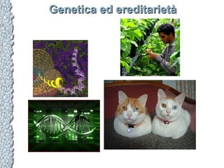 Genetica ed ereditarietàGenetica ed ereditarietà
 