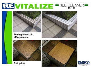 Sealing bleed, dirt, efflorescence Dirt, grime 