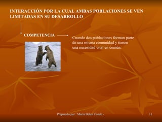 INTERACCIÓN POR LA CUAL AMBAS POBLACIONES SE VEN LIMITADAS EN SU DESARROLLO COMPETENCIA Cuando dos poblaciones forman parte de una misma comunidad y tienen una necesidad vital en común. 