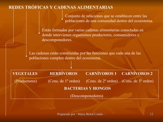 REDES TRÓFICAS Y CADENAS ALIMENTARIAS Conjunto de relaciones que se establecen entre las poblaciones de una comunidad dentro del ecosistema. Están formadas por varias cadenas alimentarias conectadas en donde intervienen organismos productores, consumidores y descomponedores. Las cadenas están constituidas por las funciones que cada una de las poblaciones cumplen dentro del ecosistema.  VEGETALES  HERBÍVOROS  CARNÍVOROS 1  CARNÍVOROS 2 (Productores)  (Cons. de 1º orden)  (Cons. de 2º orden)  (Cons. de 3º orden)  BACTERIAS Y HONGOS (Descomponedores) 