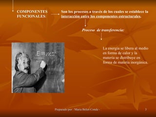 COMPONENTES FUNCIONALES : Son los procesos a través de los cuales se establece la  interacción entre los componentes estructurales . Proceso  de transferencia: La energía se libera al medio en forma de calor y la materia se distribuye en forma de materia inorgánica. 