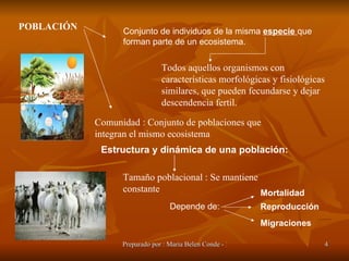Conjunto de individuos de la misma   especie  que  forman parte de un ecosistema. Depende de: reproducción Mortalidad Estructura y dinámica de una población: Reproducción Migraciones POBLACIÓN Todos aquellos organismos con características morfológicas y fisiológicas similares, que pueden fecundarse y dejar descendencia fertil. Comunidad : Conjunto de poblaciones que integran el mismo ecosistema Tamaño poblacional : Se mantiene constante 