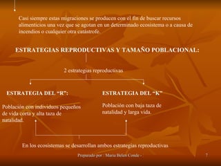 Casi siempre estas migraciones se producen con el fin de buscar recursos alimenticios una vez que se agotan en un determinado ecosistema o a causa de incendios o cualquier otra catástrofe. ESTRATEGIAS REPRODUCTIVAS Y TAMAÑO POBLACIONAL: 2 estrategias reproductivas ESTRATEGIA DEL “R”: ESTRATEGIA DEL “K” Población con individuos pequeños de vida corta y alta taza de natalidad. Población con baja taza de natalidad y larga vida. En los ecosistemas se desarrollan ambos estrategias reproductivas  